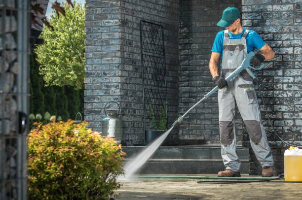Best Gutter Cleaning  in Hamilton, IN