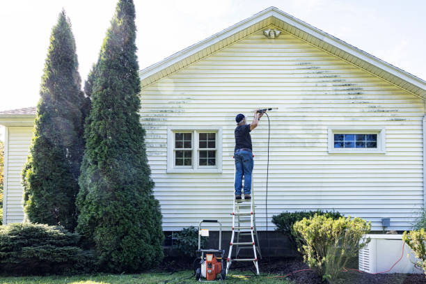 Best Gutter Cleaning  in Hamilton, IN