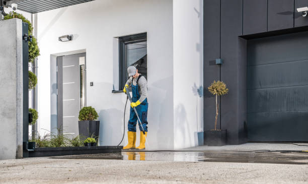 Best Fence Cleaning  in Hamilton, IN